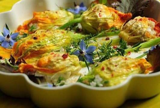 Fleurs de courgettes facies