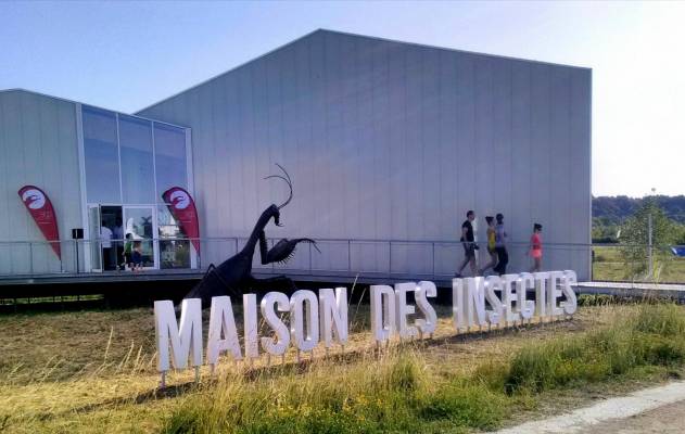 Maison des insectes