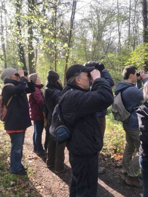 Sortie LPO sur Magny-les-hameaux