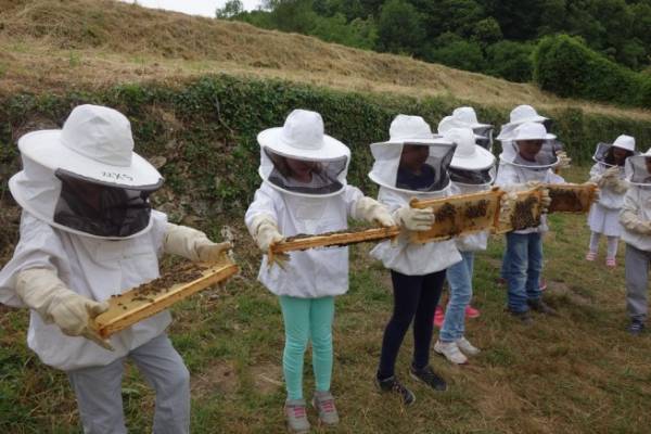 Les enfants apiculteurs