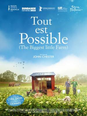 Affiche du film - Tout est possible