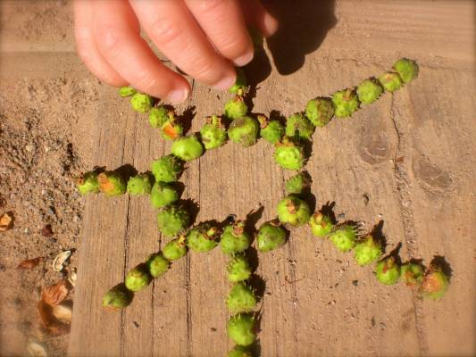 Ville Verte - Land art