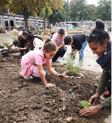 agri urbaine