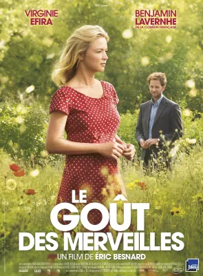 Affiche du film LE GOÛT DES MERVEILLES