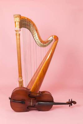 Harpe et violoncelle