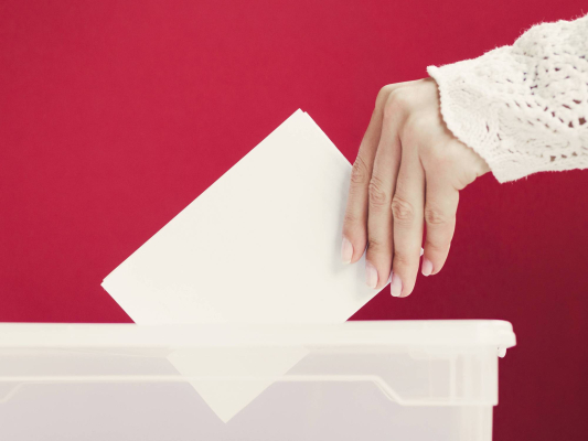 Municipales : pourquoi vote-t-on ? - Photo