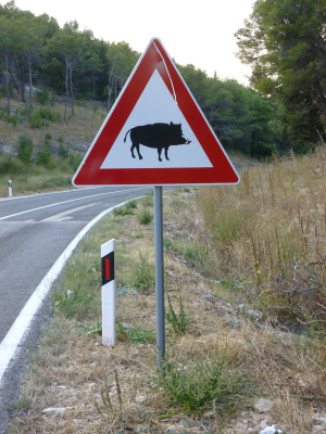 panneau sanglier