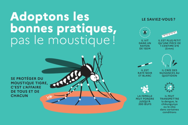 Bonnes pratiques contre le moustique