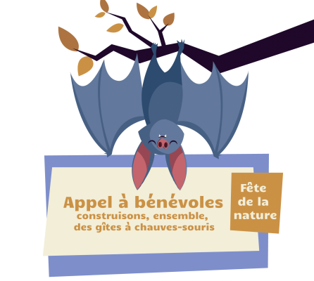 Appel à bénévoles, construction de gites à Chauves-souris