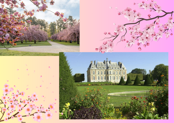 Visite château de sceau