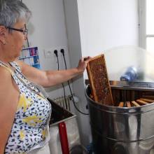 Récolte du miel de l'Abbaye de Port-Royal des Champs 