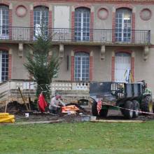 Un nouveau cèdre dans le parc du Musée national de Port-Royal des Champs