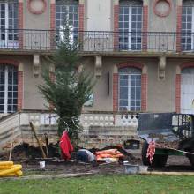 Un nouveau cèdre dans le parc du Musée national de Port-Royal des Champs