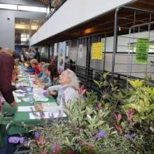 Forum des associations 2017