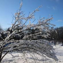 Magny sous la neige - 30 janvier 2019