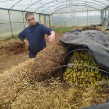 La ferme école à Buloyer distribue en circuit court : plantation endives couches chaudes