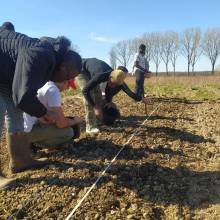 La ferme école à Buloyer distribue en circuit court : plantation de l'ail