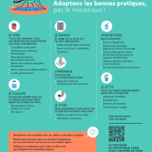 Bonnes pratiques contre le moustique