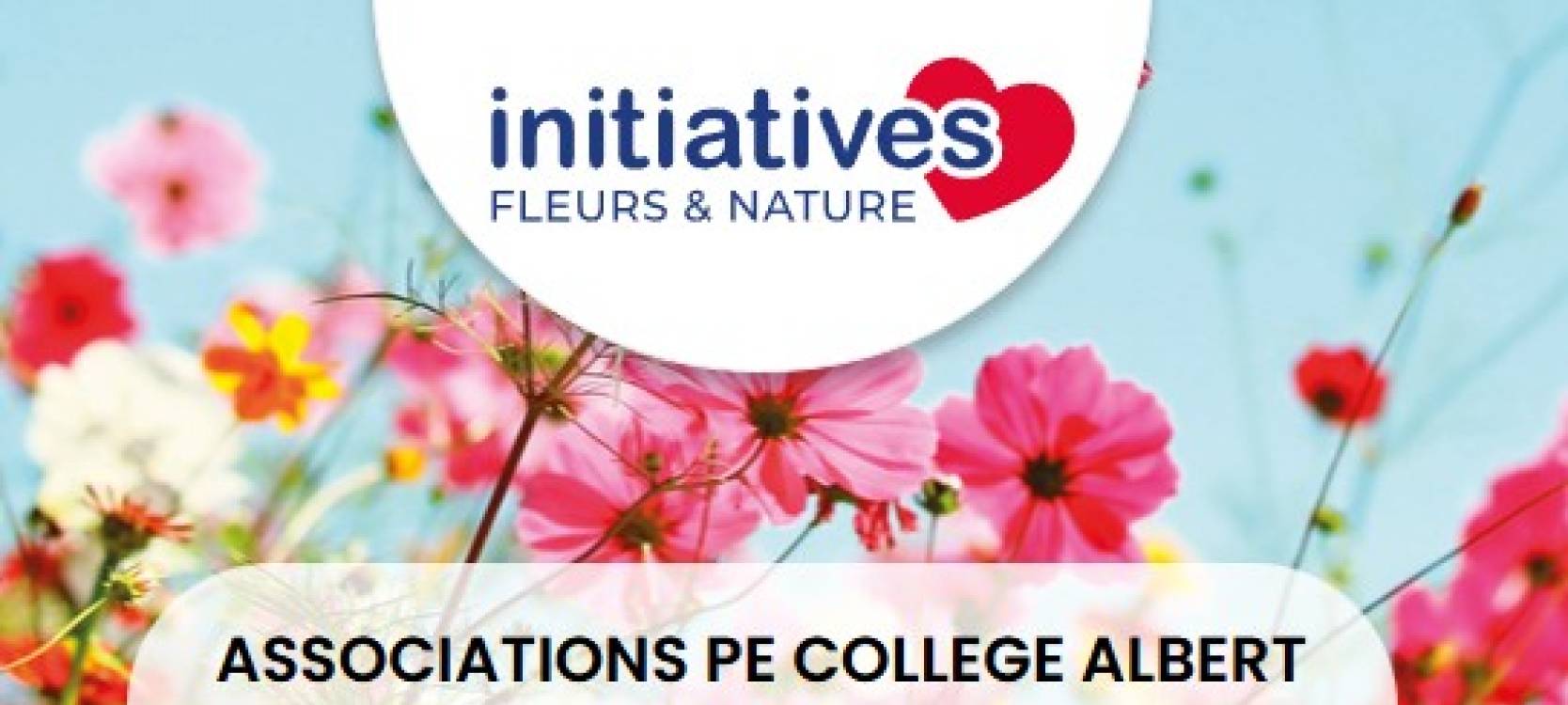 initiative college