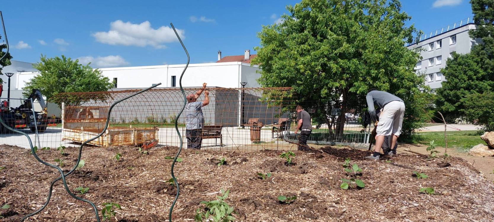 Structures métalliques - jardin permaculture