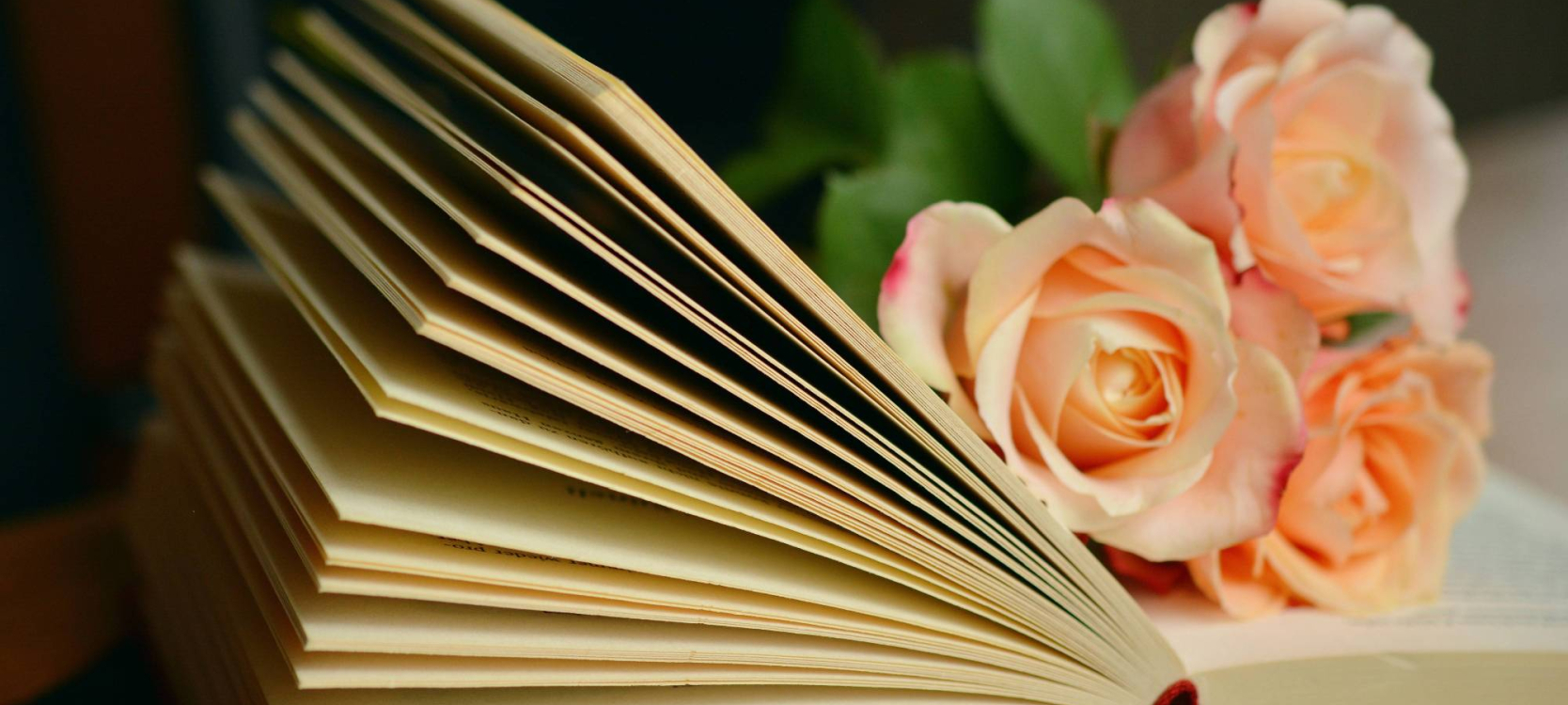 fleur livre
