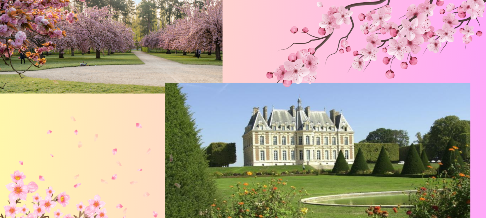 Visite château de sceau