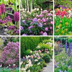 Bon plan pour fleurir son jardin !