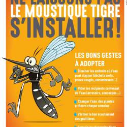 Ne laissons pas le moustique tigre s'installer