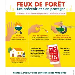 FEUX DE FORÊT Les prévenir et s'en protéger : 1 feu sur 2 est la conséquence d’une imprudence