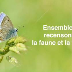 Ensemble, recensons la faune et la flore