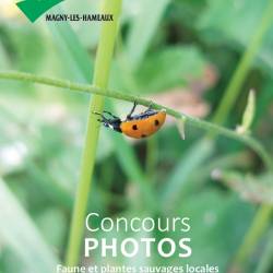 Concours photos faune et flore locales