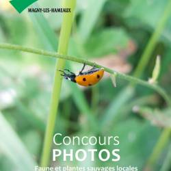 Concours photos faune et flore locales 2022