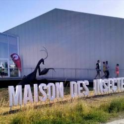 Maison des insectes