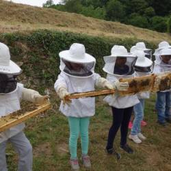 Les enfants apiculteurs