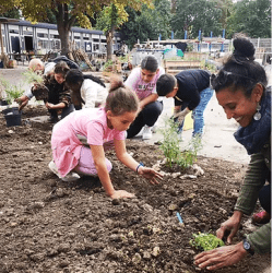 agri urbaine