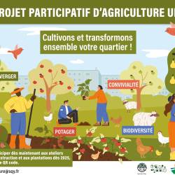 Projet d’agriculture urbaine au Buisson