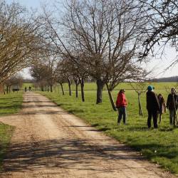 allée des pommiers