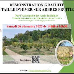 Démonstration taille hiver verger 06 12 2025