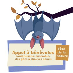 Appel à bénévoles, construction de gites à Chauves-souris