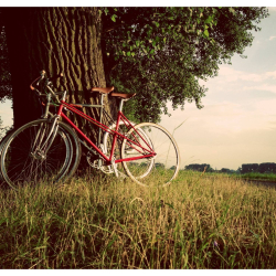 vélo nature duo
