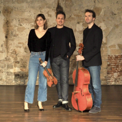 Trio Arcadis