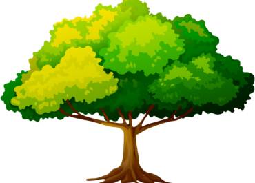 Arbre