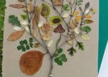 imaginaire de la nature