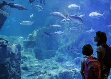 Aquarium