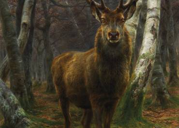 Rosa Bonheur