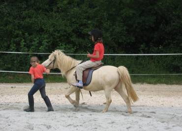 Poney