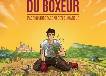 Affiche du film LA THÉORIE DU BOXEUR