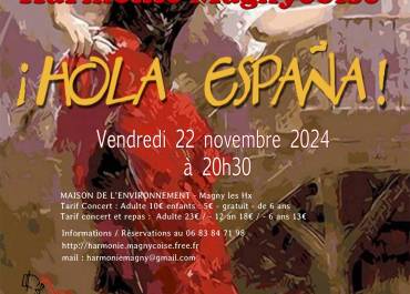 Affiche du concert