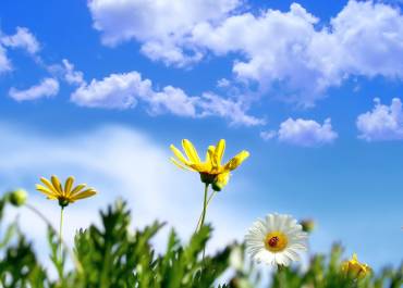 Printemps
