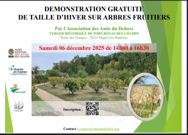 Démonstration taille hiver verger 06 12 2025